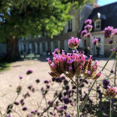 Domaine Saint-Hilaire Hotell Meung-sur-Loire Exteriör bild