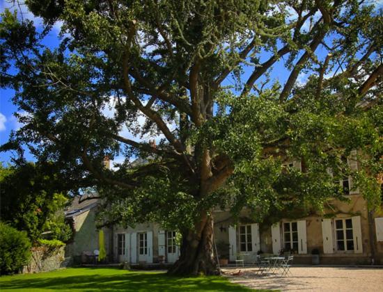Domaine Saint-Hilaire Hotell Meung-sur-Loire Exteriör bild